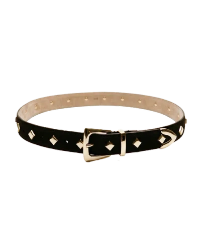 Alyson Eastman Studded Suede Belt In Brown