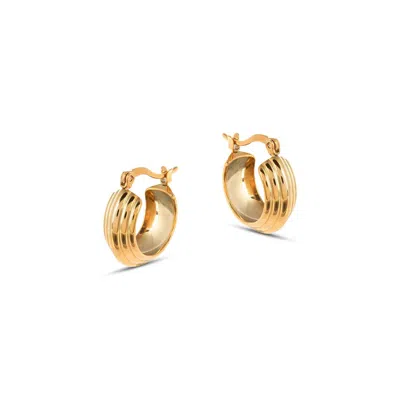 Amadeus Women's Lola Mini Ridge Gold Hoops