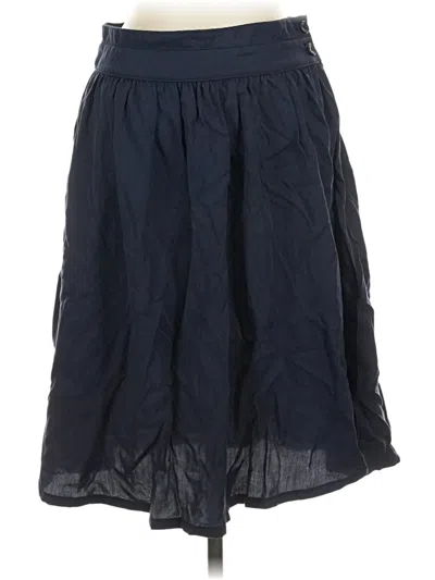 Pre-owned Amadi Casual Skirt In Blue