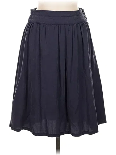 Pre-owned Amadi Casual Skirt In Blue