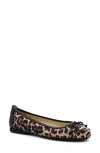 Amalfi By Rangoni Dana Leopard Print Ballet Flat In Leopard/black Parmasoft Trim