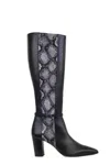 Amalfi By Rangoni Istria Pointed Toe Knee High Boot- Medium Width In Black Phyton In Multi