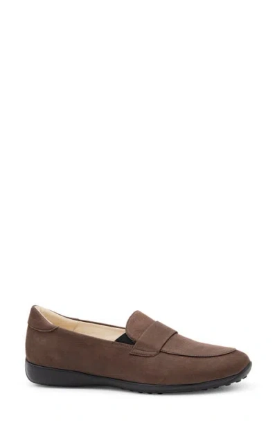 Amalfi By Rangoni Jill Loafer In Brown