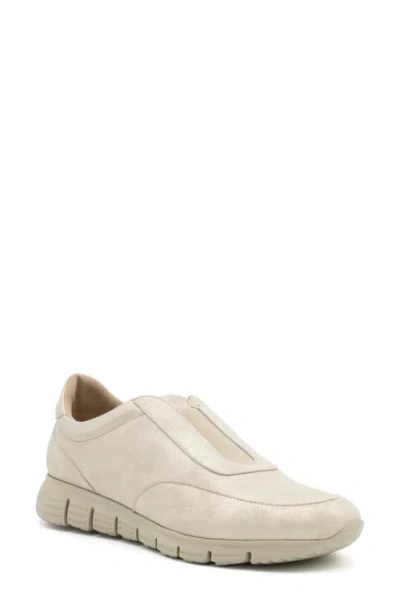 Amalfi By Rangoni Joseph Slip-on Sneaker In Crema/van Agean