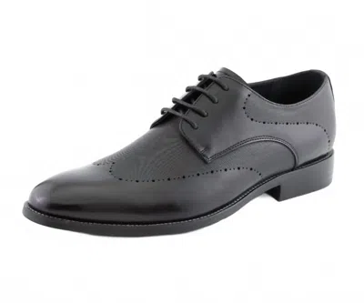 Amali Men's Luke Derby Shoes In Black In Grey