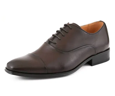 Amali Men's Zyon Oxford Shoes In Brown In Grey