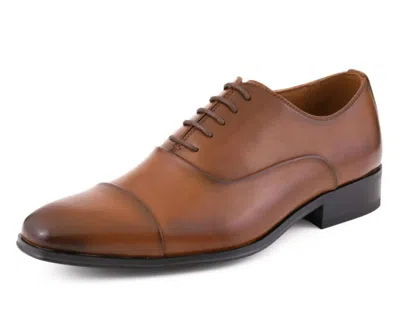 Amali Men's Zyon Oxford Shoes In Cognac In Brown