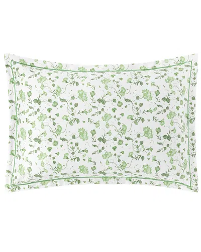 Amalia Home Collection 430 Thread Count Sham Pair In Multi