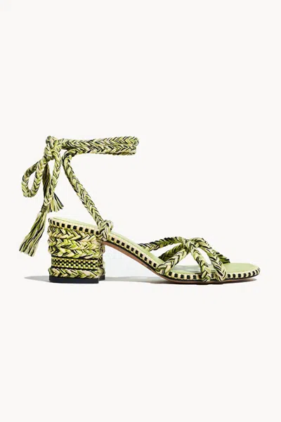 Amambaih Women's Isabel Wrap Heel In Olive