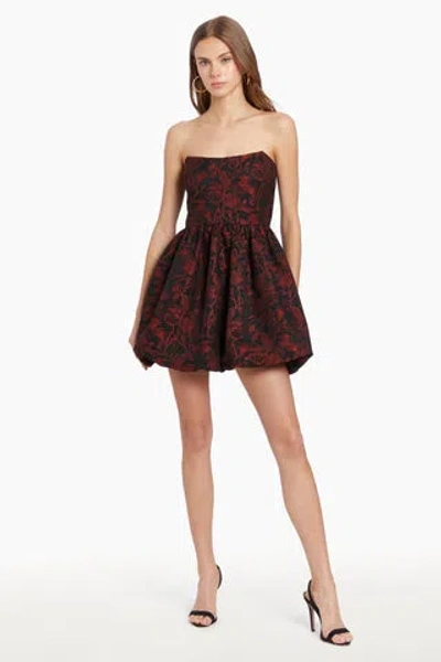 Amanda Uprichard Addison Dress In Red,black