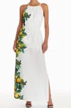 Amanda Uprichard Alicanta Maxi Dress In Lemonhead In Multi