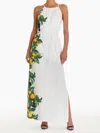 Amanda Uprichard Alicanta Maxi Dress In Lemonhead In Multi