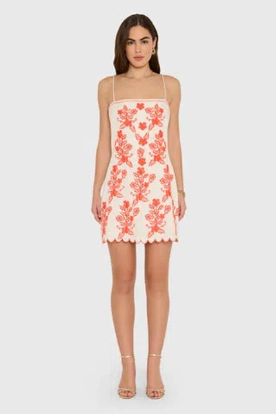 Amanda Uprichard Coraline Dress In Natural Combo