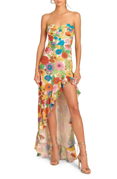 Amanda Uprichard Eden Floral Ruffle High-low Gown In Multi