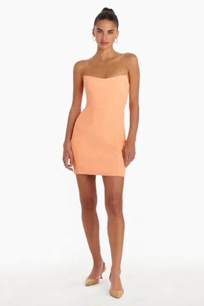 Amanda Uprichard Ivy Mini Dress In Guava