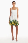 Amanda Uprichard Napoli Fit And Flare Dress In Lemonhead