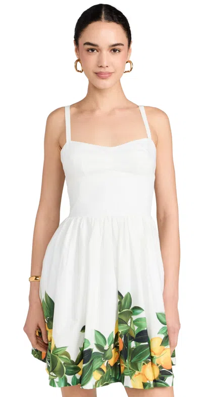 Amanda Uprichard Napoli Fit And Flare Dress In Lemonhead