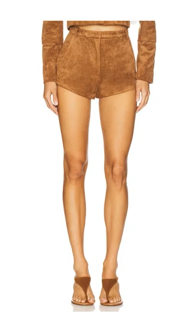 Amanda Uprichard X Revolve Kelso Suede Short In Brown