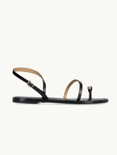 Amanu The Marrakech Sandal Black 10