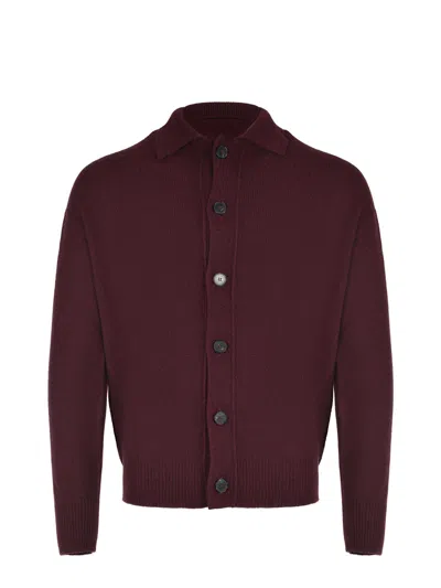 Amaranto Amaranth Cardigan In Purple