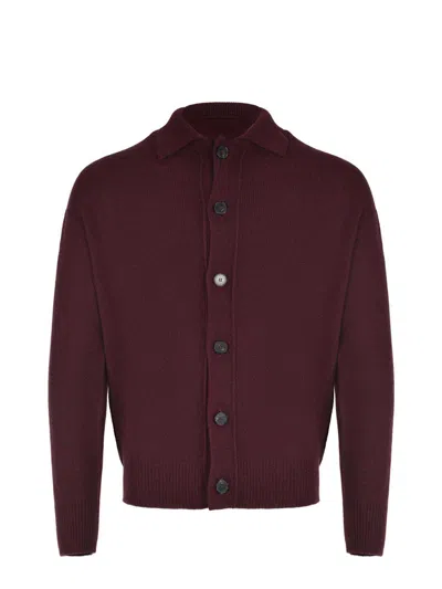 Amaranto Amaránto  Sweaters In Burgundy