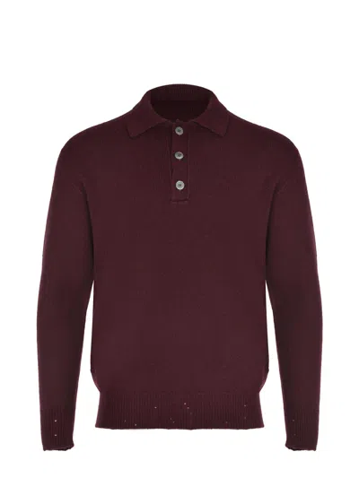 Amaranto Burgundy Sweater ?