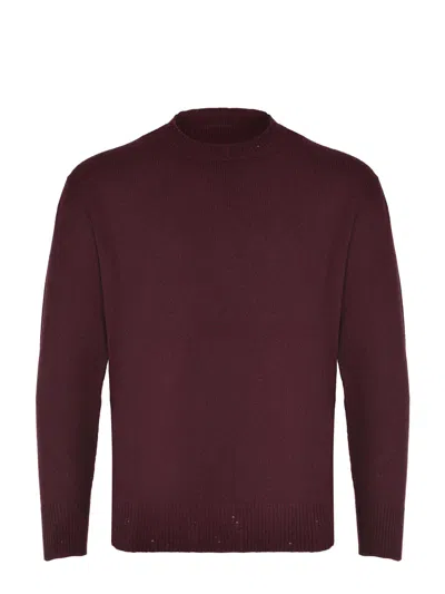 Amaranto Burgundy Sweater