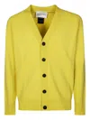Amaranto Distressed Buttoned Cardigan With Rugged Detailing In Yellow
