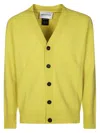 Amaranto Distressed Buttoned Cardigan With Rugged Detailing In Yellow