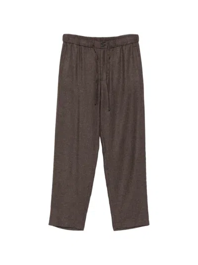 Amaranto Drawstring-waist Straight-leg Trousers In Brown