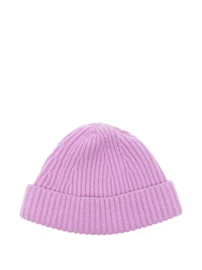 Amaranto Ribbed-knit Beanie In Purple
