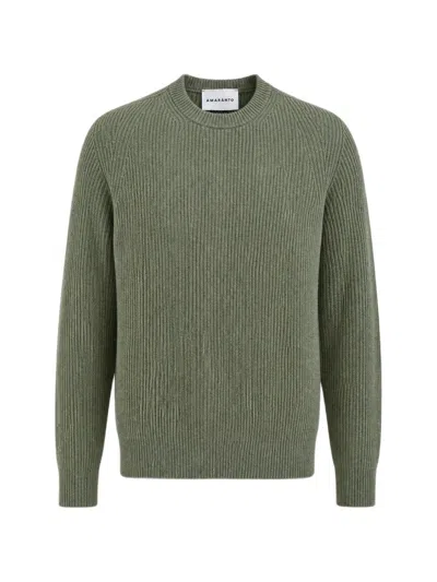 Amaranto Ribbed Raglan-sleeve Sweater In Green