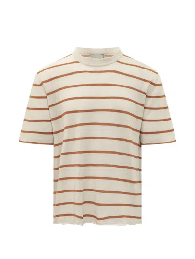 Amaranto Striped Short-sleeve Sweater In Multi