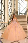 Amarra 54228 Long 3d Floral Applique Ball Gown Quinceanera Dress