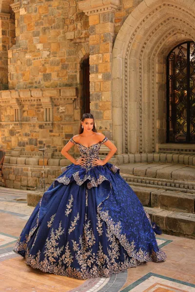 Amarra 54235 Long Ball Gown 3d Floral Quinceañera Dress In Blue