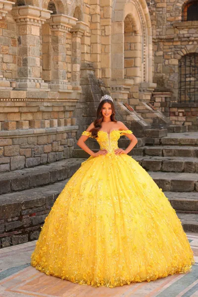 Amarra 54239 Long Ball Gown 3d Applique Quinceanera Dress In Yellow