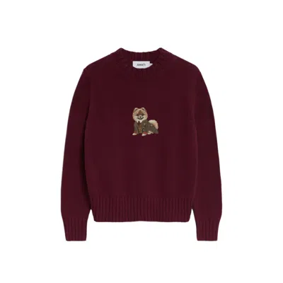 Amati Collection Women's Pomeranian Embroidered Sweater Burgundy In Red