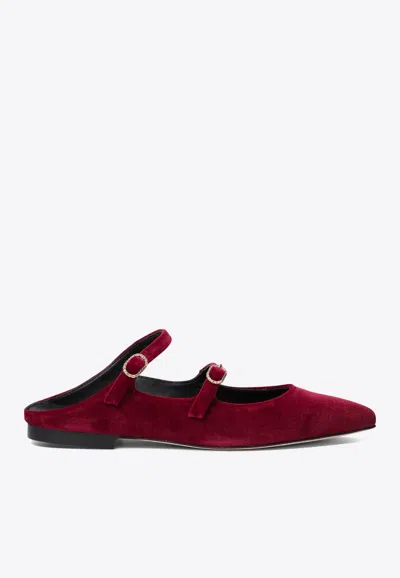 Amato Daniele Velvet Pointed Flat Mules In Burgundy