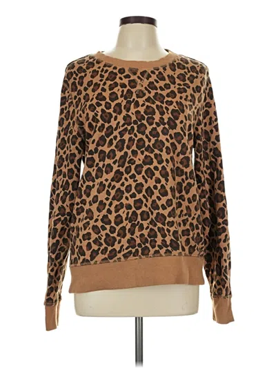 Pre-owned Amazon Essentials Pullover Sweater In Brown