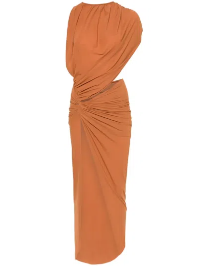 Amazuìn Carola Maxi Dress In 褐色