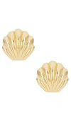 Amber Sceats Sloane Earrings In 金色