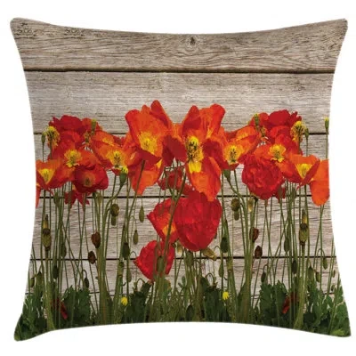 Ambesonne 26" Throw Pillow Cover