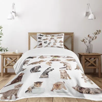 Ambesonne Cat Bedspread Set Funny Playful Cats Image Brown Black White