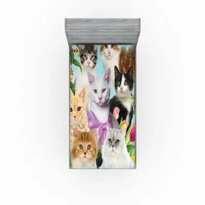 Ambesonne Cat Lover Fitted Sheet 2-pack Cats Feline Domestic Multicolor