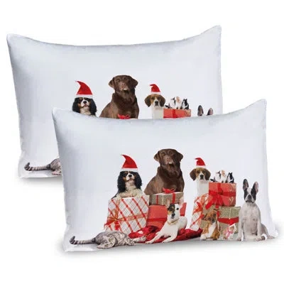 Ambesonne Christmas Pillow Sham 2 Pack Funny Pets Gifts Photo White Brown And Red