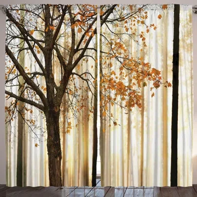 Ambesonne Curtain Panels