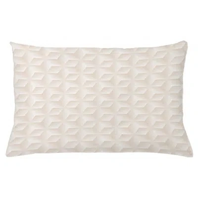 Ambesonne Indoor / Outdoor Geometric Lumbar Pillow Cover
