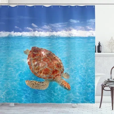 Ambesonne Shower Curtain With Hooks Included