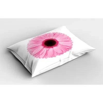Ambesonne Spring Sham In Black;pink