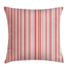 Ambesonne Square Pillow Cover